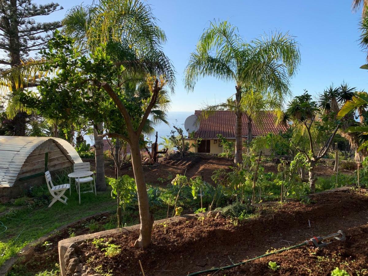 Ferienwohnung Finca Monica La Matanza De Acentejo Exteriör bild