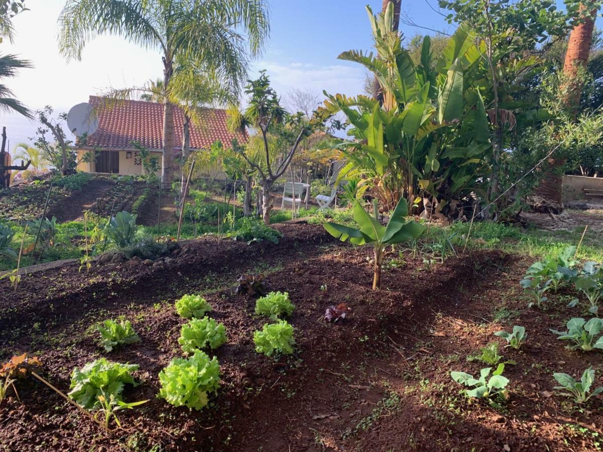 Ferienwohnung Finca Monica La Matanza De Acentejo Exteriör bild